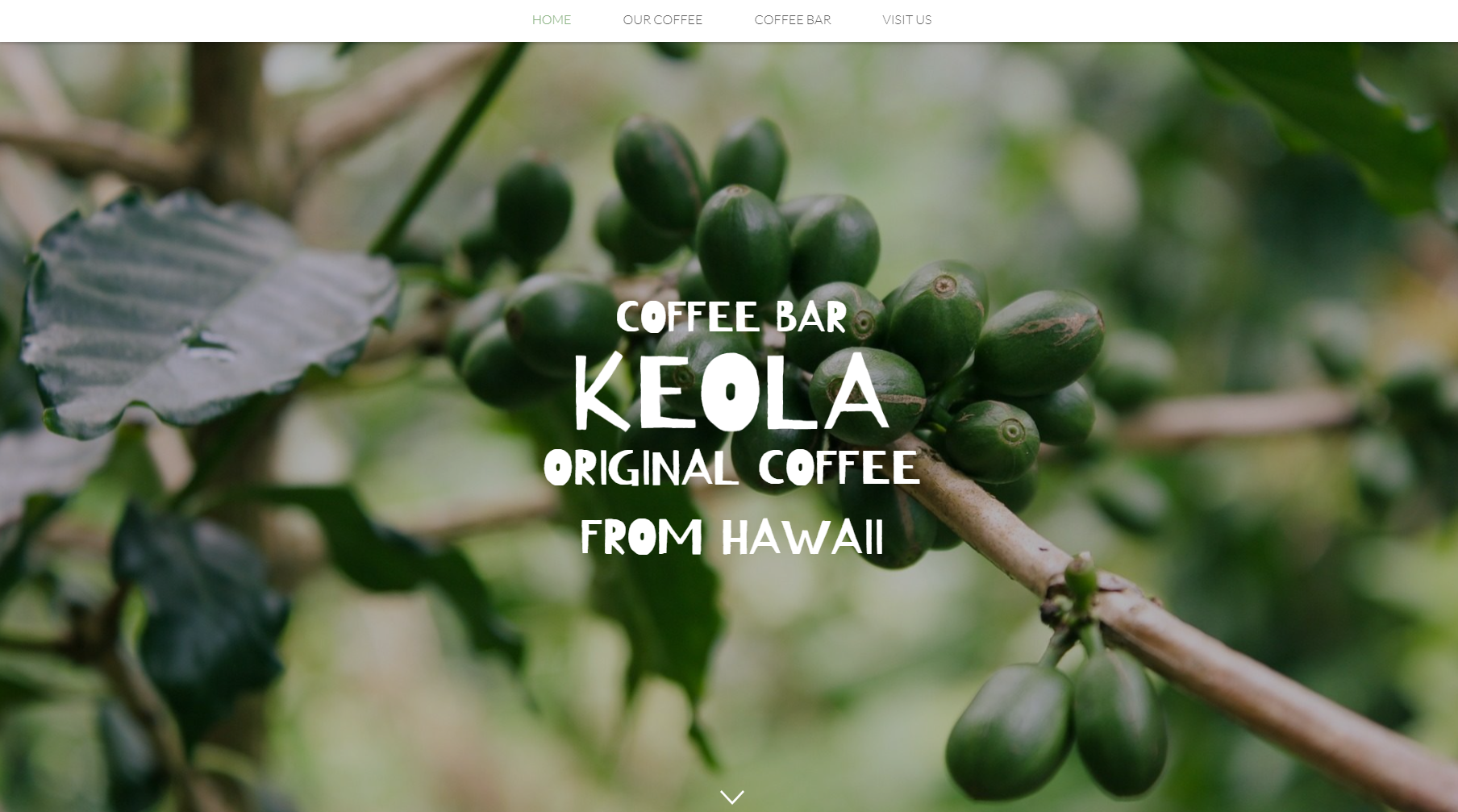 Coffee Bar Website by LONE Web Studio